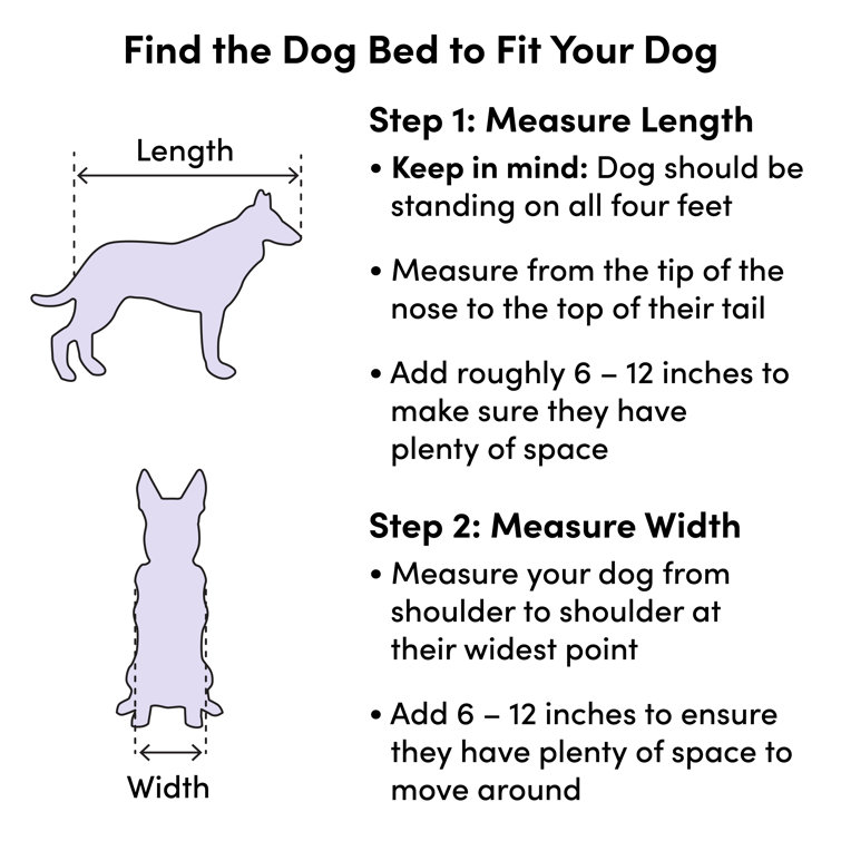 Casper dog 2024 bed dimensions